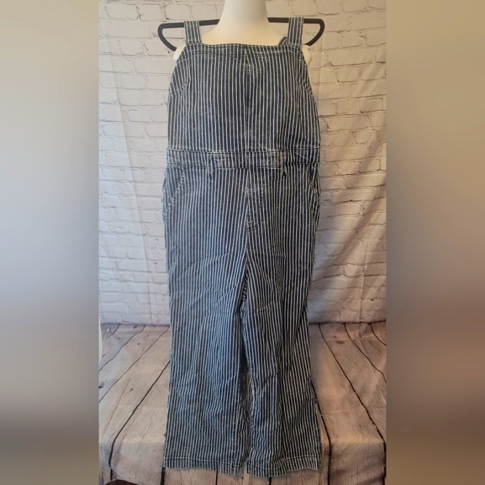Universal Threads Overalls
